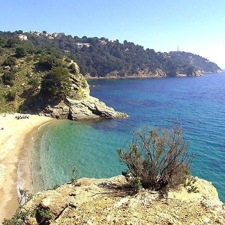 "Ti Sable" Agreable Studio Climatise, Jolie Vue Mer, Piscine A Cavalaire Sur Mer Golfe De St-Tropez Zewnętrze zdjęcie