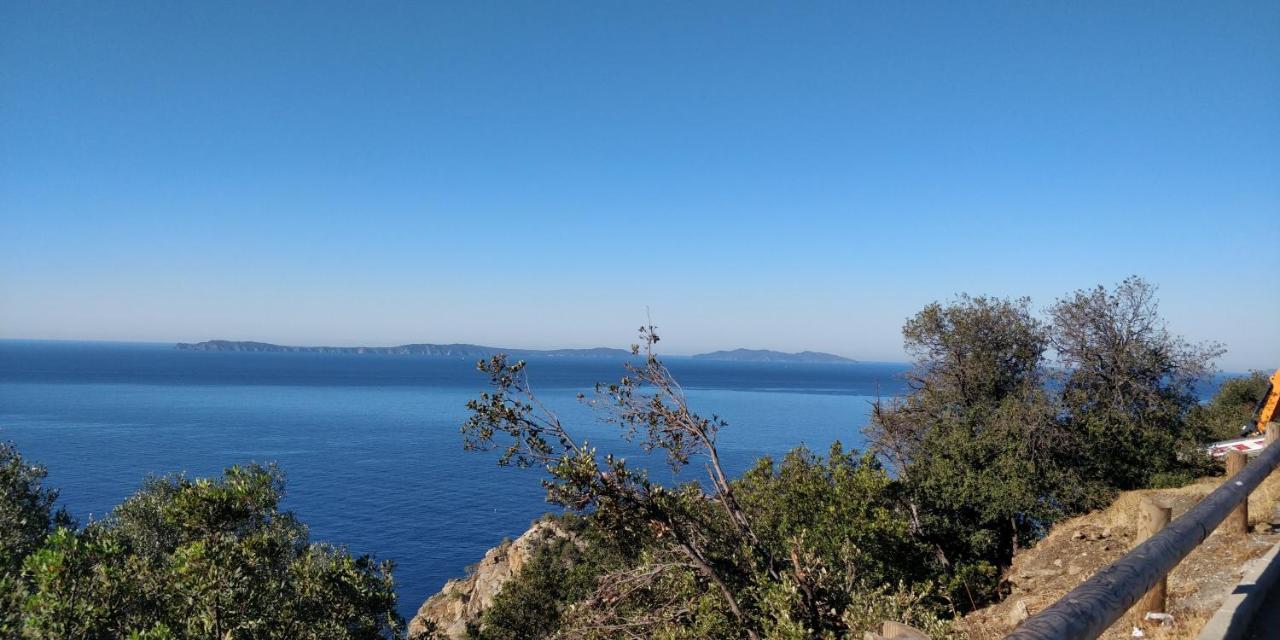 "Ti Sable" Agreable Studio Climatise, Jolie Vue Mer, Piscine A Cavalaire Sur Mer Golfe De St-Tropez Zewnętrze zdjęcie