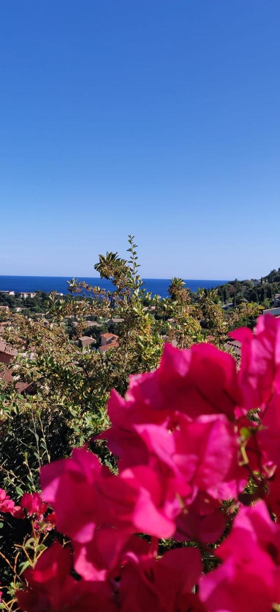 "Ti Sable" Agreable Studio Climatise, Jolie Vue Mer, Piscine A Cavalaire Sur Mer Golfe De St-Tropez Zewnętrze zdjęcie